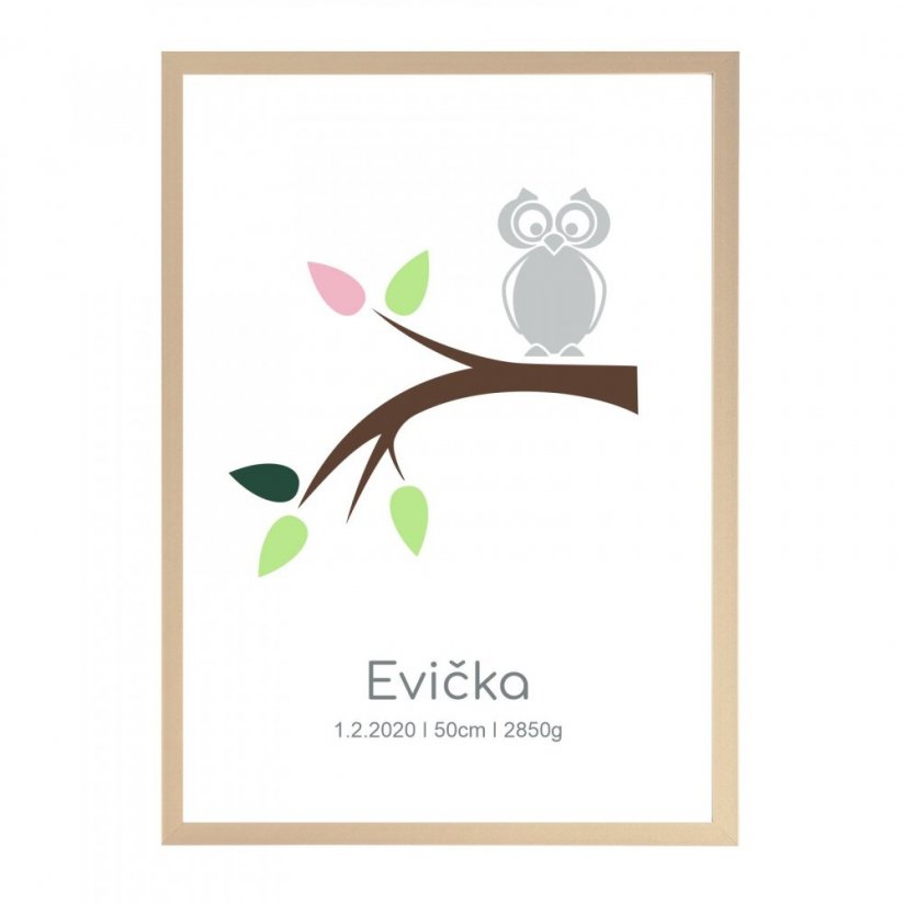 Plakát k narození holčičky - Sovička