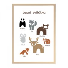 Naučný plakát - Lesní zvířátka v češtině