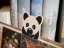 Záložka do knížky Panda