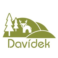 Samolepka na zeď - jméno - zvířátka z lesa - Pieris design
