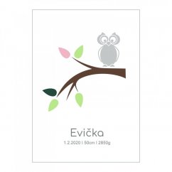 Plakát  se jménem a údaji narození miminka - holčičky - Sovička