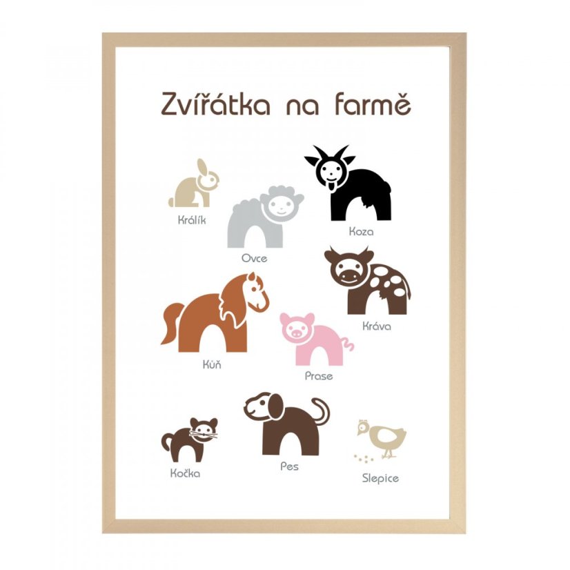 Naučný plakát - domácí zvířátka v češtině