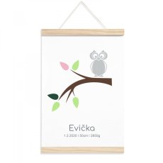 Plagát narodenia bábätka - Sova