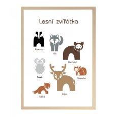 Naučný plakát - Lesní zvířátka v češtině