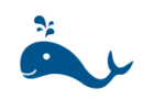 Moře