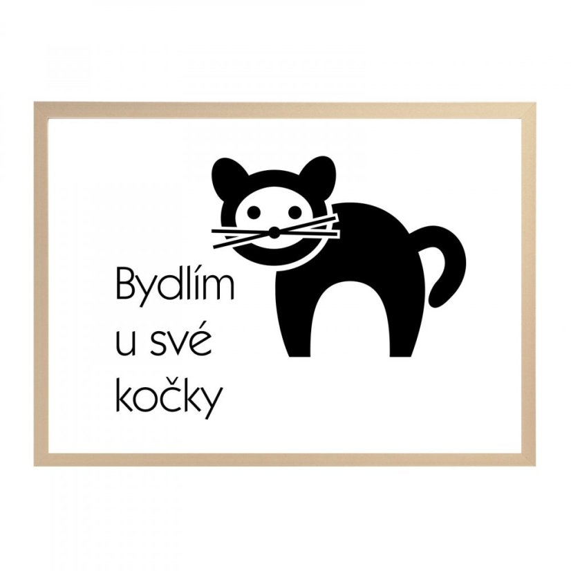 Plakát s nápisem Bydlím u své kočky