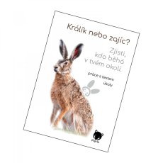 pracovni listy kralik zajic